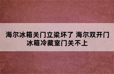 海尔冰箱关门立梁坏了 海尔双开门冰箱冷藏室门关不上